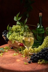 Fototapeta na wymiar White dry wine, fresh clusters of a grapes