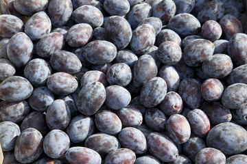 Früchte auf türkischem Markt