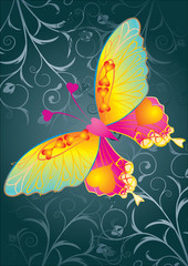 Love butterfly on grey background