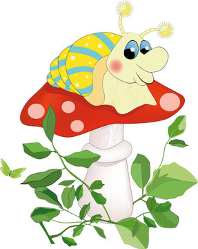 snail sitting on a mushroom