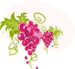 Decorative rich bunches of ripe grapes