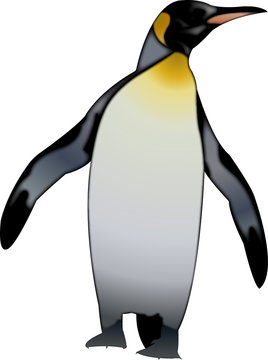 pingouin empereur réaliste