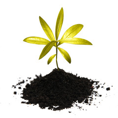 Die Natur ist heilig