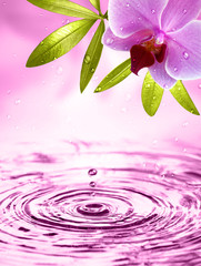 Wellness Motiv mit Orchidee