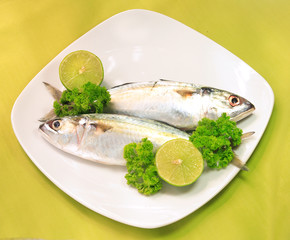 Dish of fish