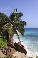 la digue