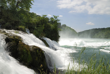 Fototapeta na wymiar Rhine Falls