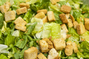 Ceasar Salad with Croutons