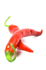 two red chilli peppers