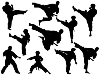 MARTIAL ARTS-KARATE SET © master_77