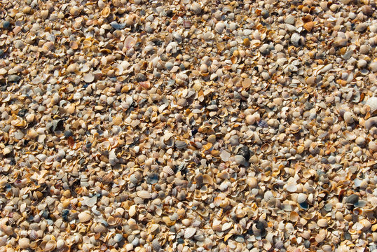 Universal abstract background from sand and shells