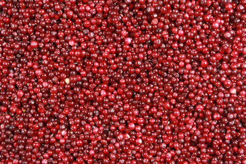 cranberry