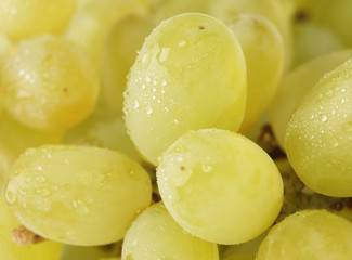 green grapes 2