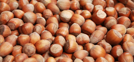 hazel-nuts