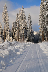 Obraz premium Winter Schee Landschaft Wald
