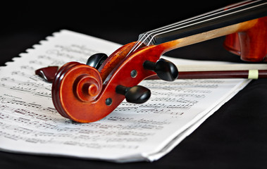Naklejka na ściany i meble violin music classic string instrument