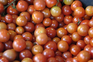 Tomates cherry 08