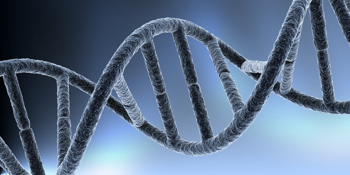 DNA III