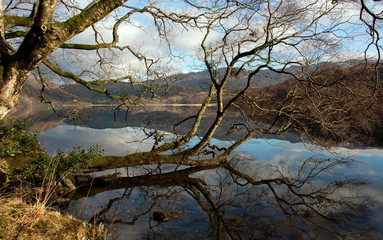 Llyn Dinas reflections
