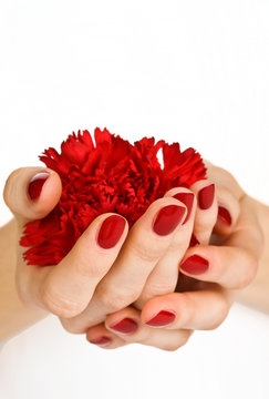 Red manicure and red flower