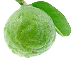 citrus hystrix, combava, fruit alimentaire tropical, fond blanc