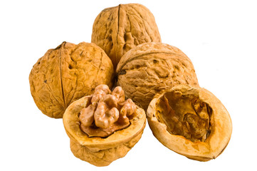 Walnut