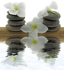 ambiance zen, galets, fleurs, bambou, fond blanc