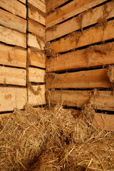 Interior of village building. Lot of hay in barn of rough planks