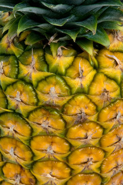 Fruits et vitamines - Ananas
