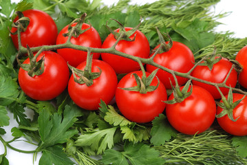 Bunch of tomatoes on a green parsley