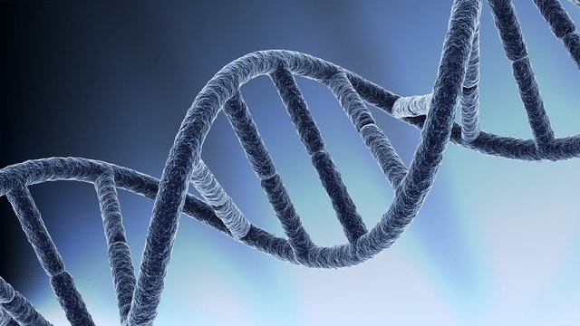 DNA macro - loop