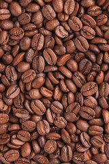 coffee beans background