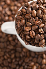 coffee beans with white cup