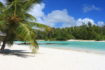 blue lagoon in mauritius island