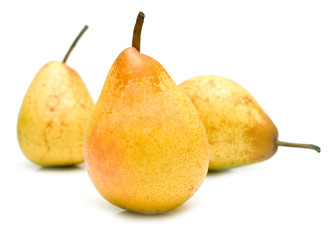 yellow pears