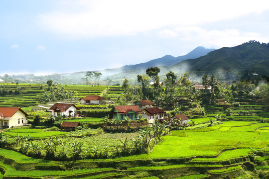 village d'agriculteur indon&eacute;sie