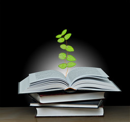 vine growing from open book