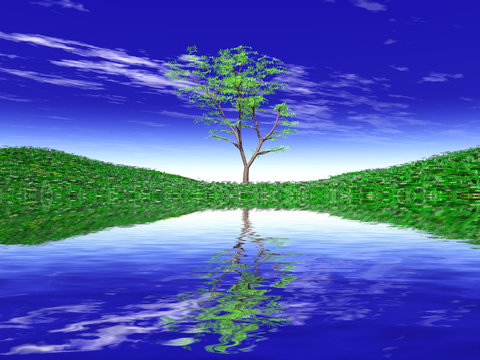 reflet d'un arbre sur l'eau