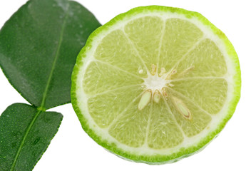 rondelle citrus hystrix, combava, agrume, fond blanc