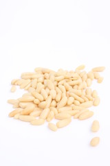 Pine nut / 松子