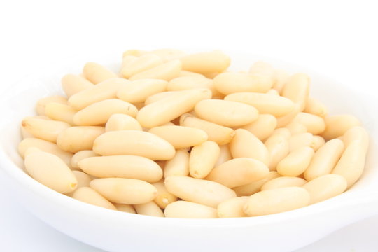 Pine nut / 松子