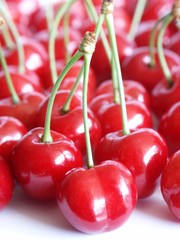 Plenty of red tasty cherries