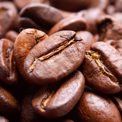 coffee beans.