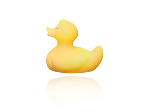 canard