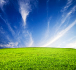 Fototapeta na wymiar Green field and blue sky