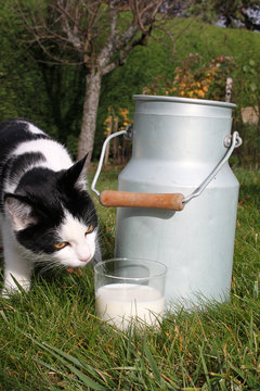 Pot &agrave; lait