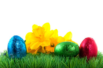 Easter eggs in the grass