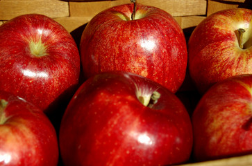 Basket of Red Apples