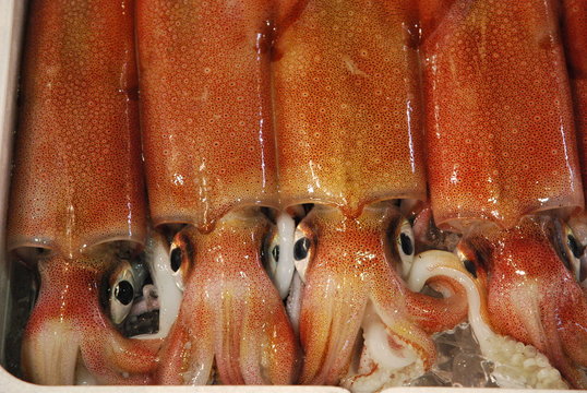Calamares