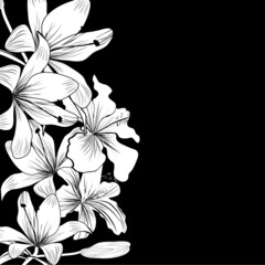 Black and white background with white flowers